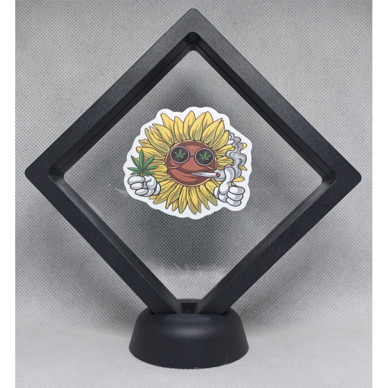 Smoking Zonnebloem - Zwarte Display 11x11 met smokers sticker