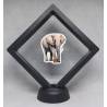 Olifant - Zwarte Display 11x11 met dieren sticker