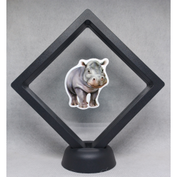 Nijlpaard - Zwarte Display 11x11 met dieren sticker