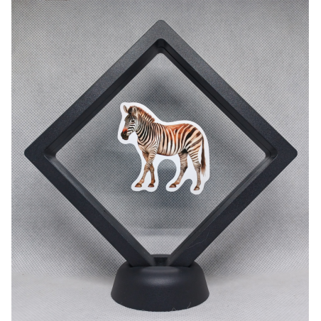 Zebra staand - Zwarte Display 11x11 met dieren sticker