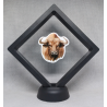 Stier - Zwarte Display 11x11 met dieren sticker