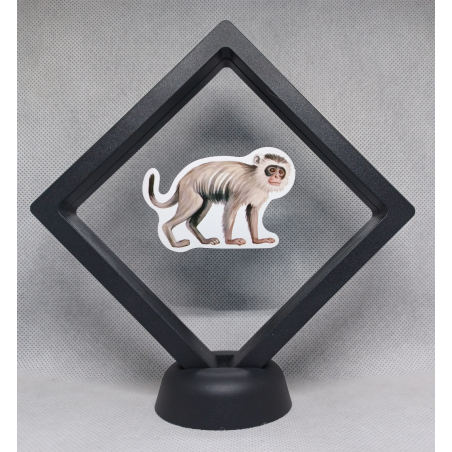 Aap - Zwarte Display 11x11 met dieren sticker