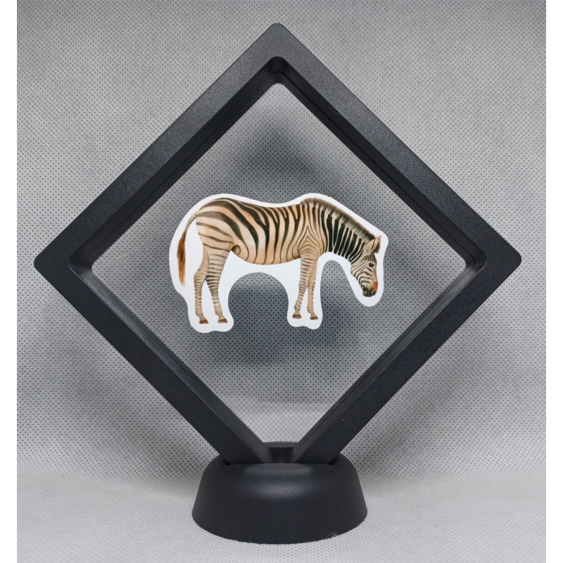 Zebra Staand - Zwarte Display 11x11 met dieren sticker