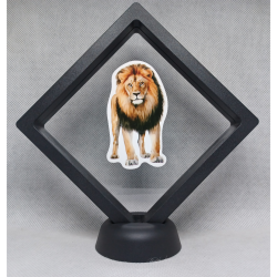 Leeuw - Zwarte Display 11x11 met dieren sticker