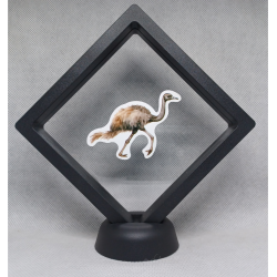 Struisvogel - Zwarte Display 11x11 met dieren sticker