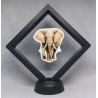 Grote Olifant - Zwarte Display 11x11 met dieren sticker