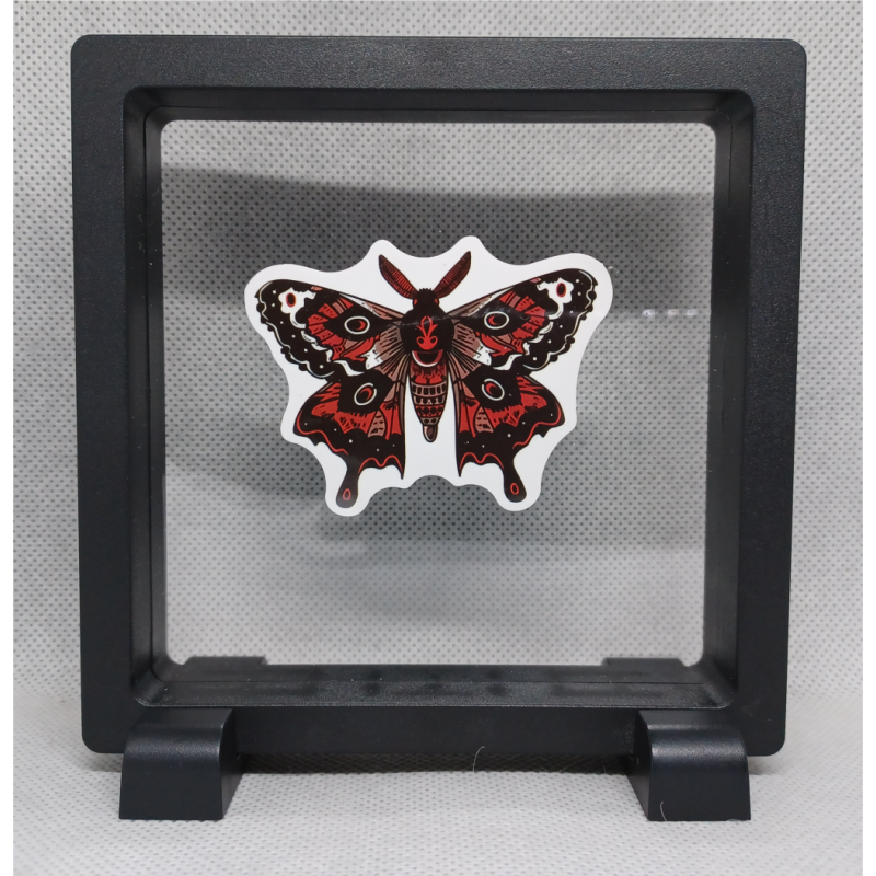 Moth - Vierkante Zwarte Display 11x11 met nacht sticker