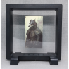 Wolf Soldaat - Vierkante Zwarte Display 11x11 met sticker