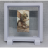 Piloot Muis - Vierkante Witte Display 11x11 met vintage sticker