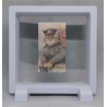 Politie Kat - Vierkante Witte Display 11x11 met vintage sticker