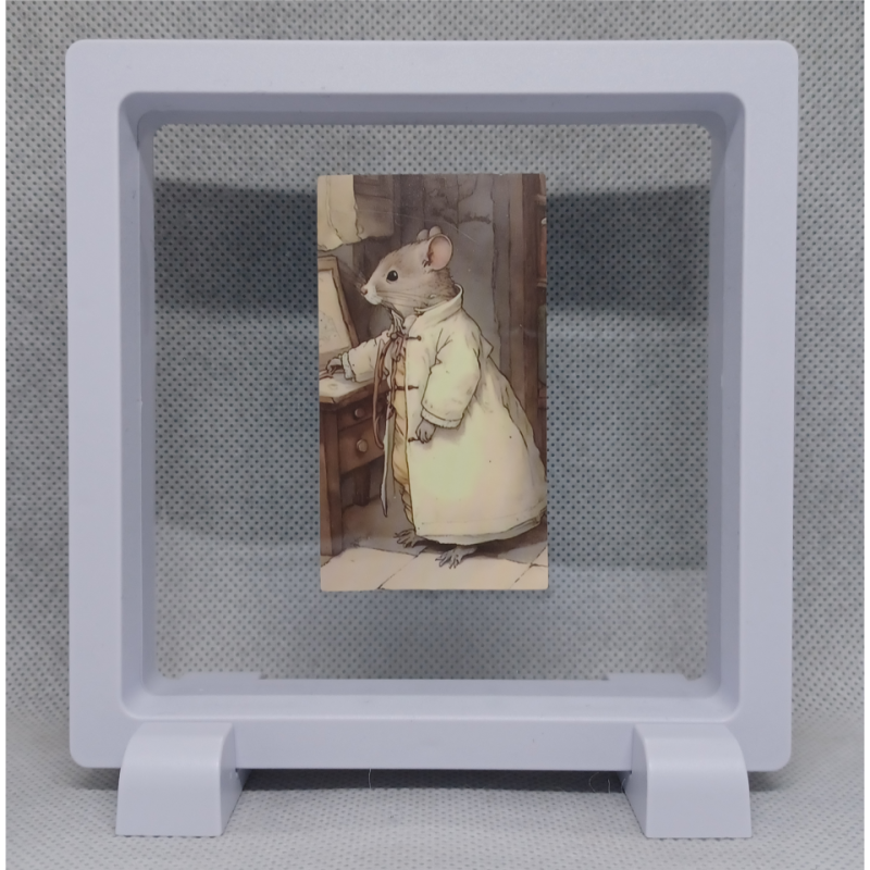 Muis in Huis - Vierkante Witte Display 11x11 met vintage sticker