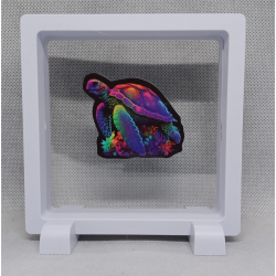 Schildpad - Vierkante Witte Display 11x11 met kleuren sticker